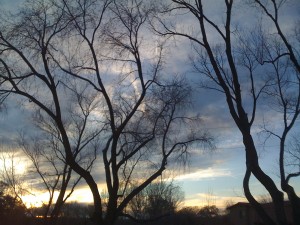 IMG_0031